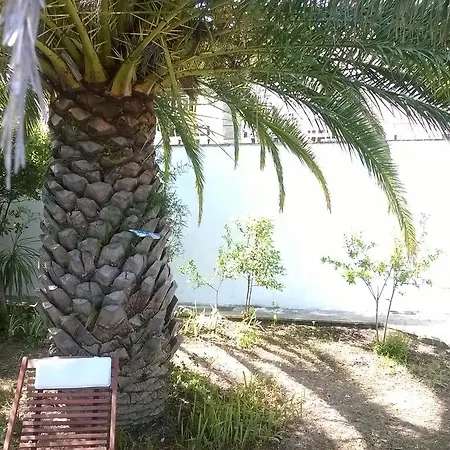 Villa Corona 3* Donji Okrug (Ciovo)